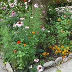 20140805_103104