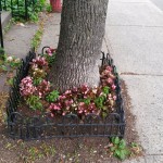 Bellechasse et de lorimier